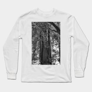 Muir Woods Study 3 Long Sleeve T-Shirt